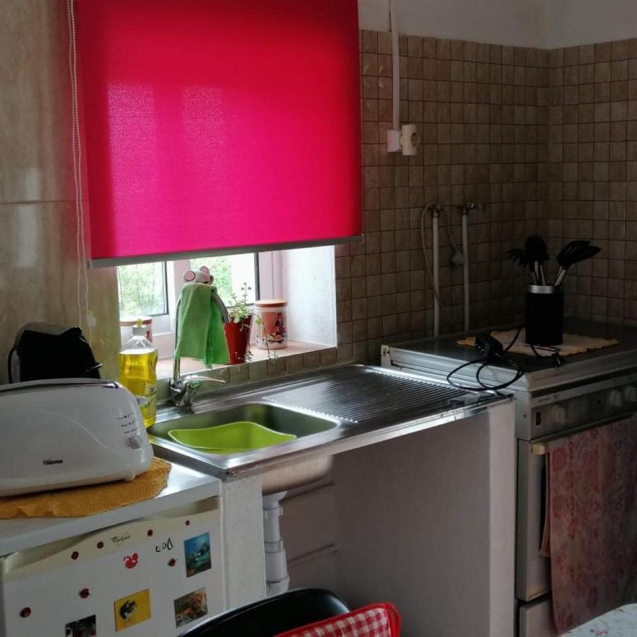 Refugio Dos Sapinhos Vila Silves Exterior foto