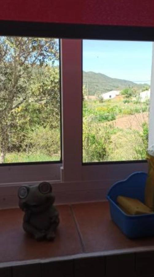 Refugio Dos Sapinhos Vila Silves Exterior foto