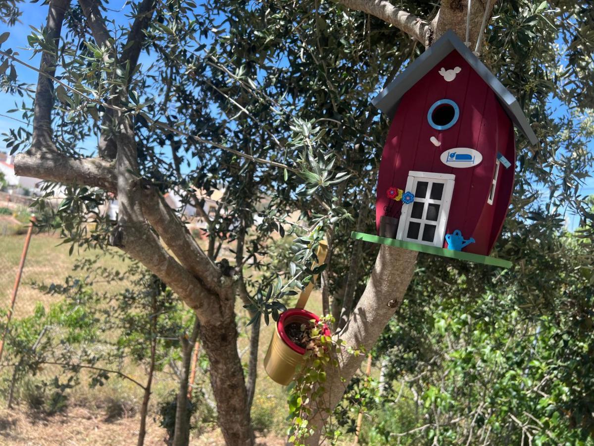 Refugio Dos Sapinhos Vila Silves Exterior foto